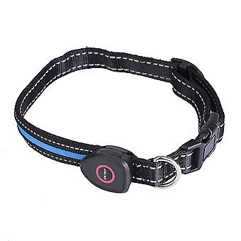 LED Dog Collar with USB Rechargeable Adjustable Nylon Collars for Pets Safety Flashing(Blue, L)