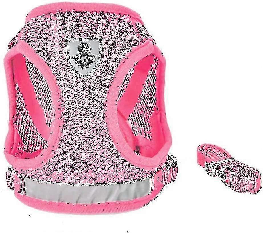 Dog Harness And Leash Set