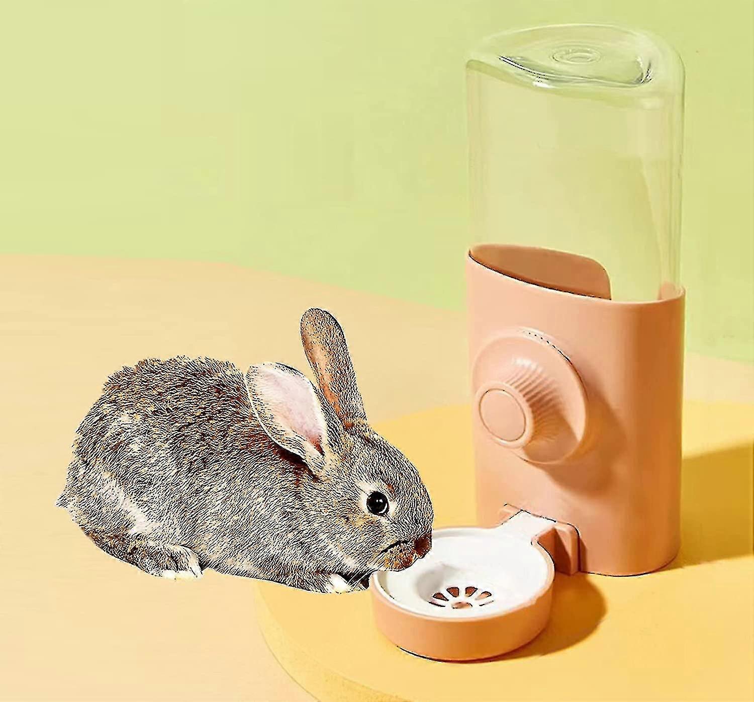 Rabbit Water Bottle, 600ml Hanging Automatic Water Dispenser By Gravity Flow For Bunny Chinchilla Guinea Ferrets-Yvan