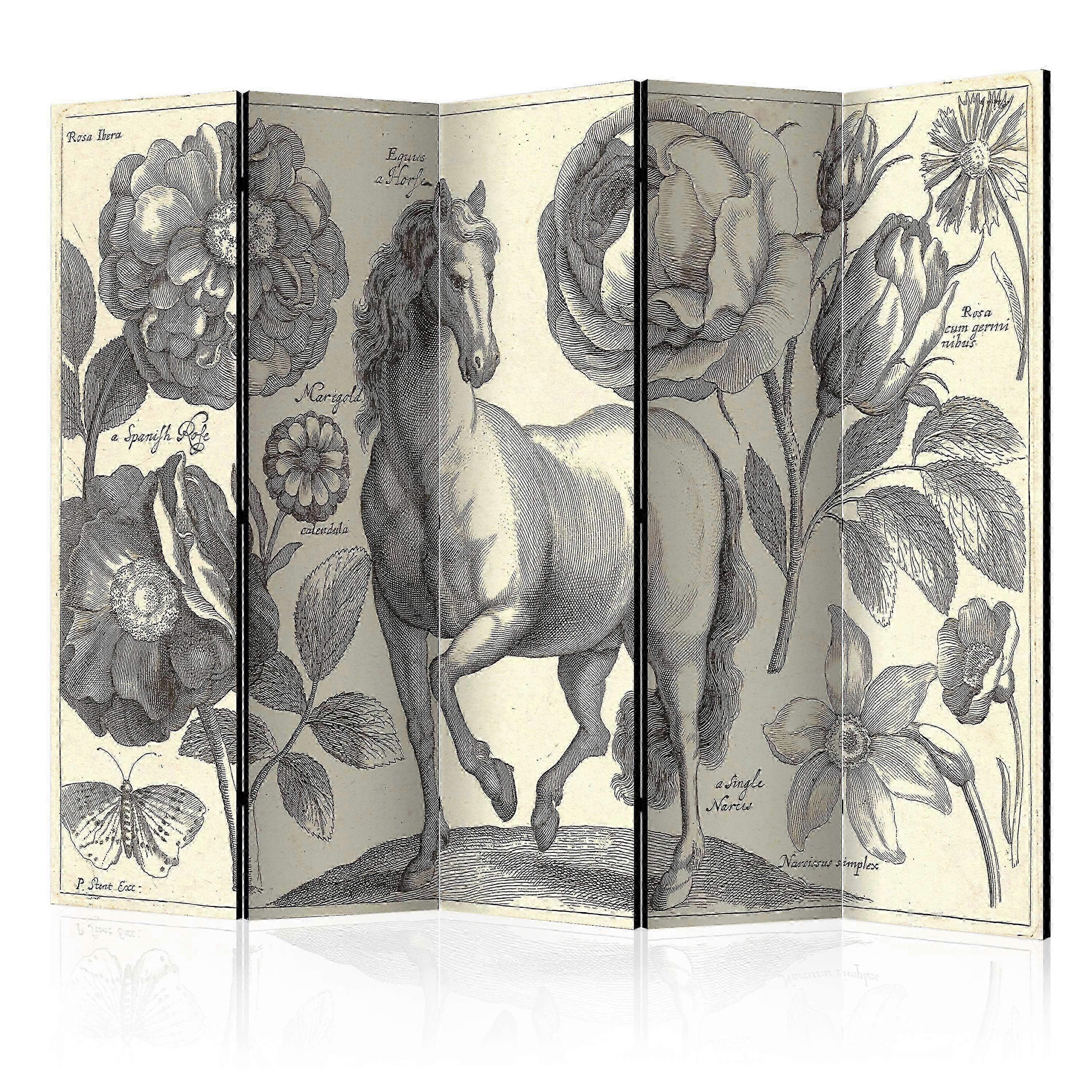 Ruimtescherm - Paard II