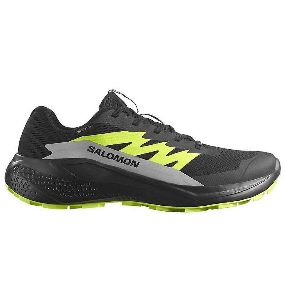 Shoes Salomon Alphaglide Gtx 478020