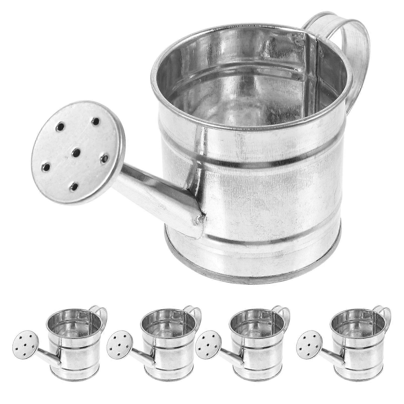 5pcs Mini Iron Watering Cans for DIY Micro Landscapes – Durable Handheld Garden Accessories for Indoor Plants
