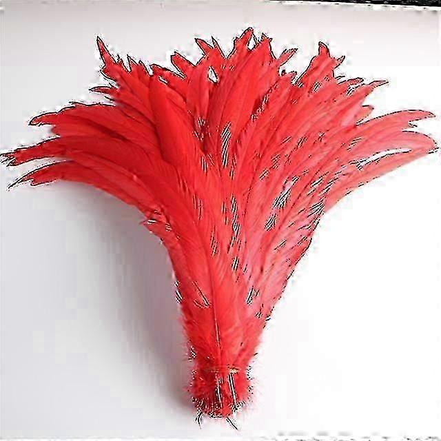 50pcs Penas de cauda de pintinho natural 25 -40cm / 10 -16 polegadas Decoração de roupas Palco Performance Galo