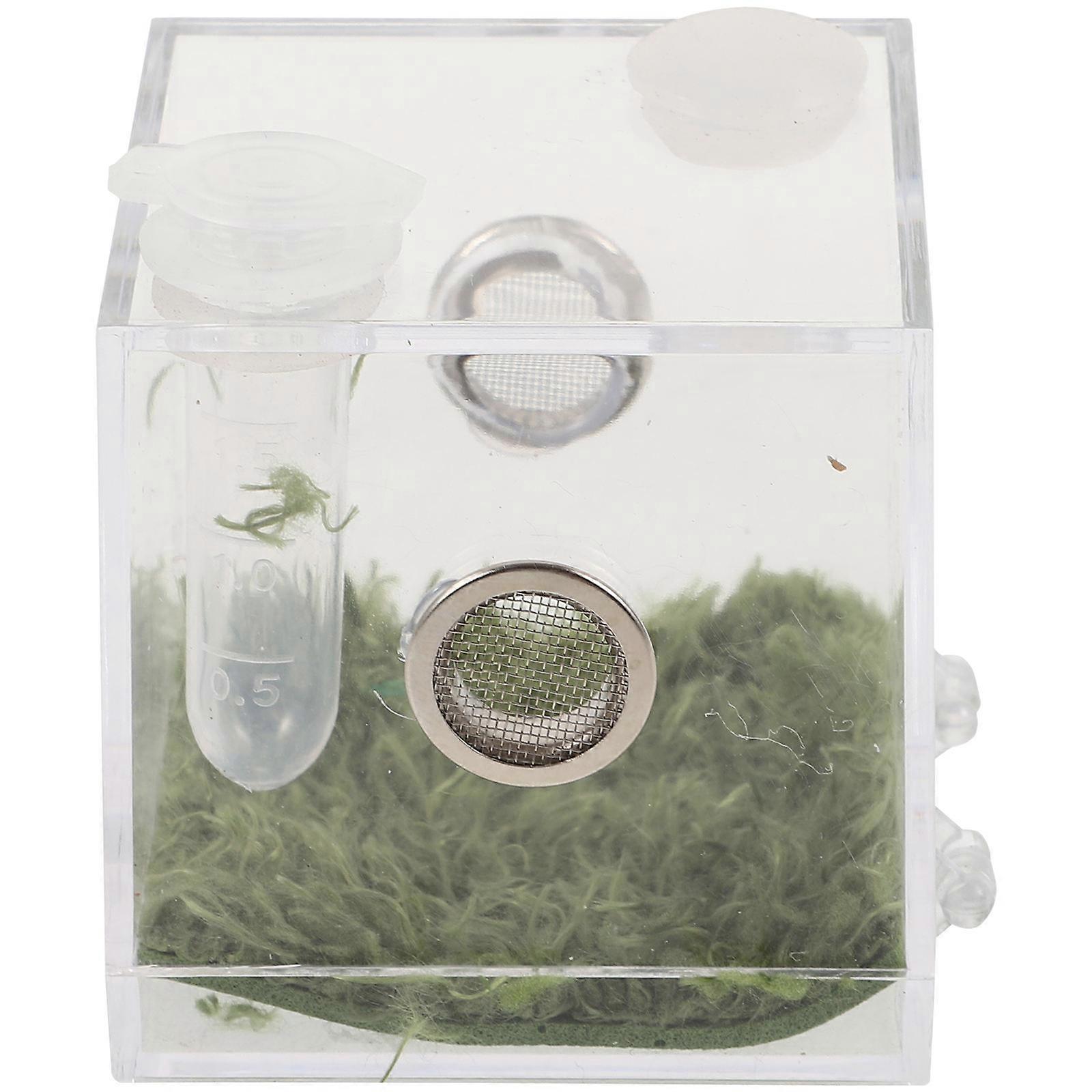 Transparent Acrylic Spider Enclosure Box for Insect Breeding 3Sets