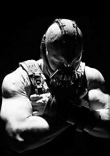 Bane Puzzel Hersenkraker TP0752