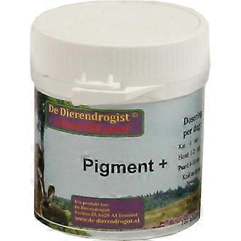 Pigment Plus - 100 Tablets