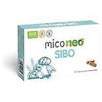 Mico neo sibo 60 capsules