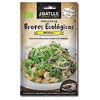 Broccoli Sprouts to Germinate 6 g