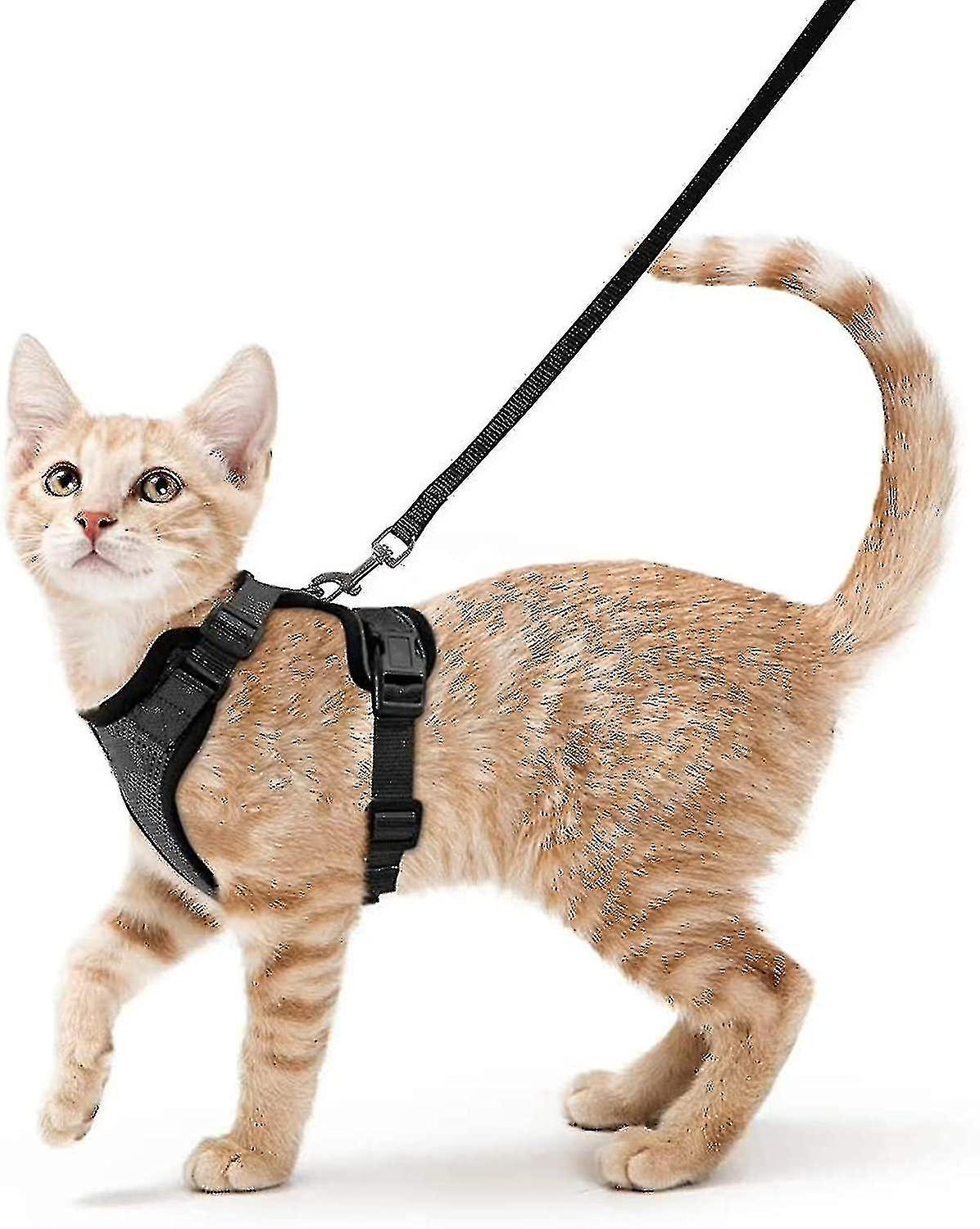 Cat Harness And Leash For Walking, Escape Proof Soft Adjustable Vest Harnesses For Cats, Easy Control