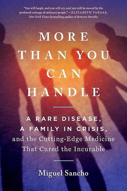 More Than You Can Handle by Miguel Sancho Paperback