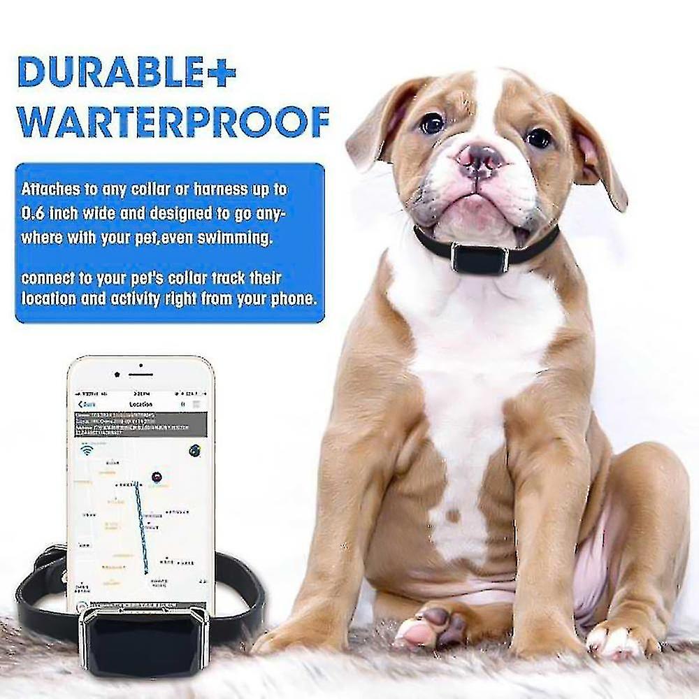 Intelligent Pet Tracker Multifunctional Dog GPS Collar Locating|GPS Trackers