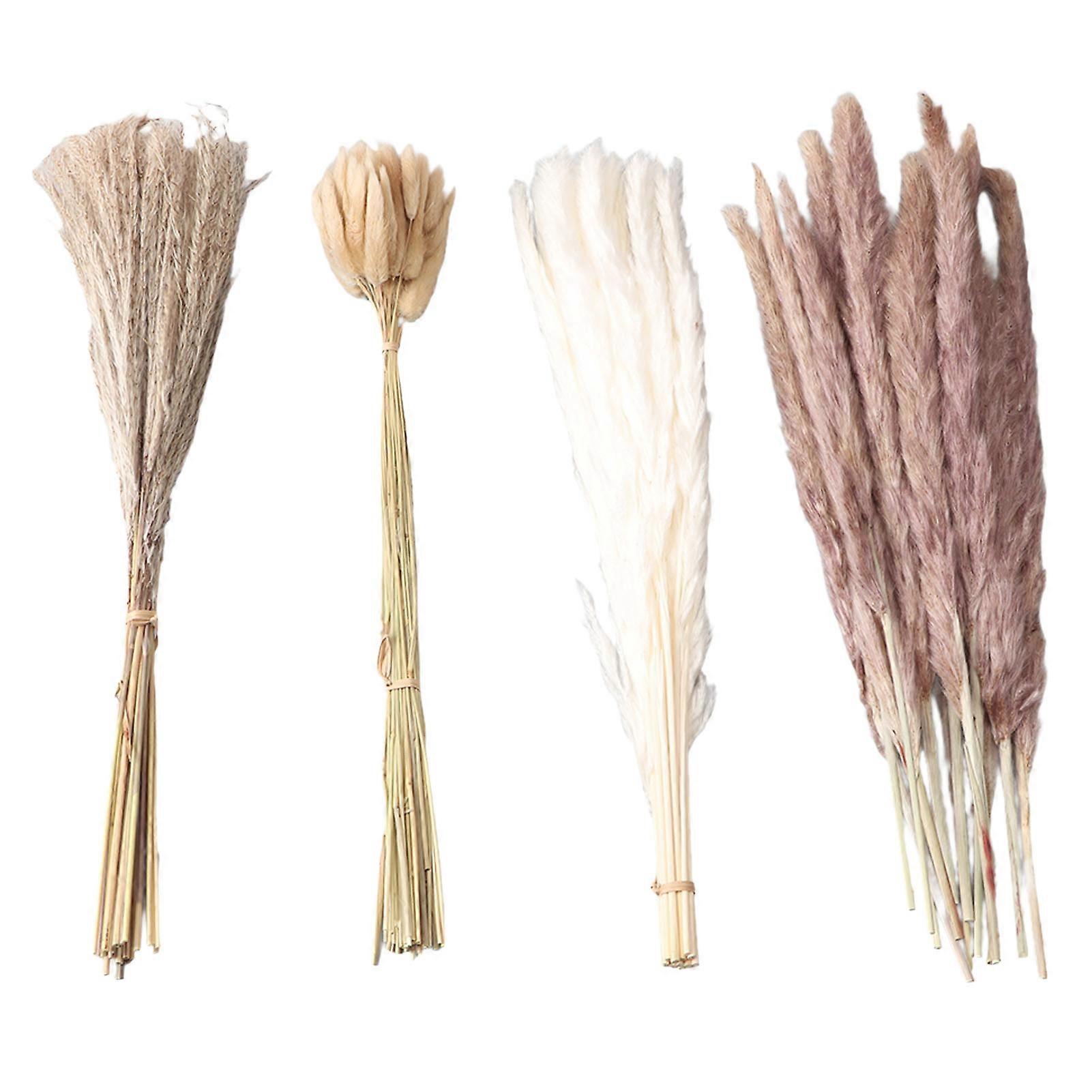 Természetes szárított pampafű, bolyhos 15 db, fehér pampa, 15 db, barna pampa, 50 db, nyuszifarkú fű, 20 db, nádfű, otthoni esküvői dekorációhoz