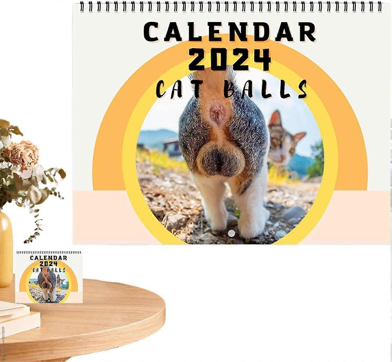 2024 Cat Calendar, Cat Calendar, 12 Cat Calendar, For Cat