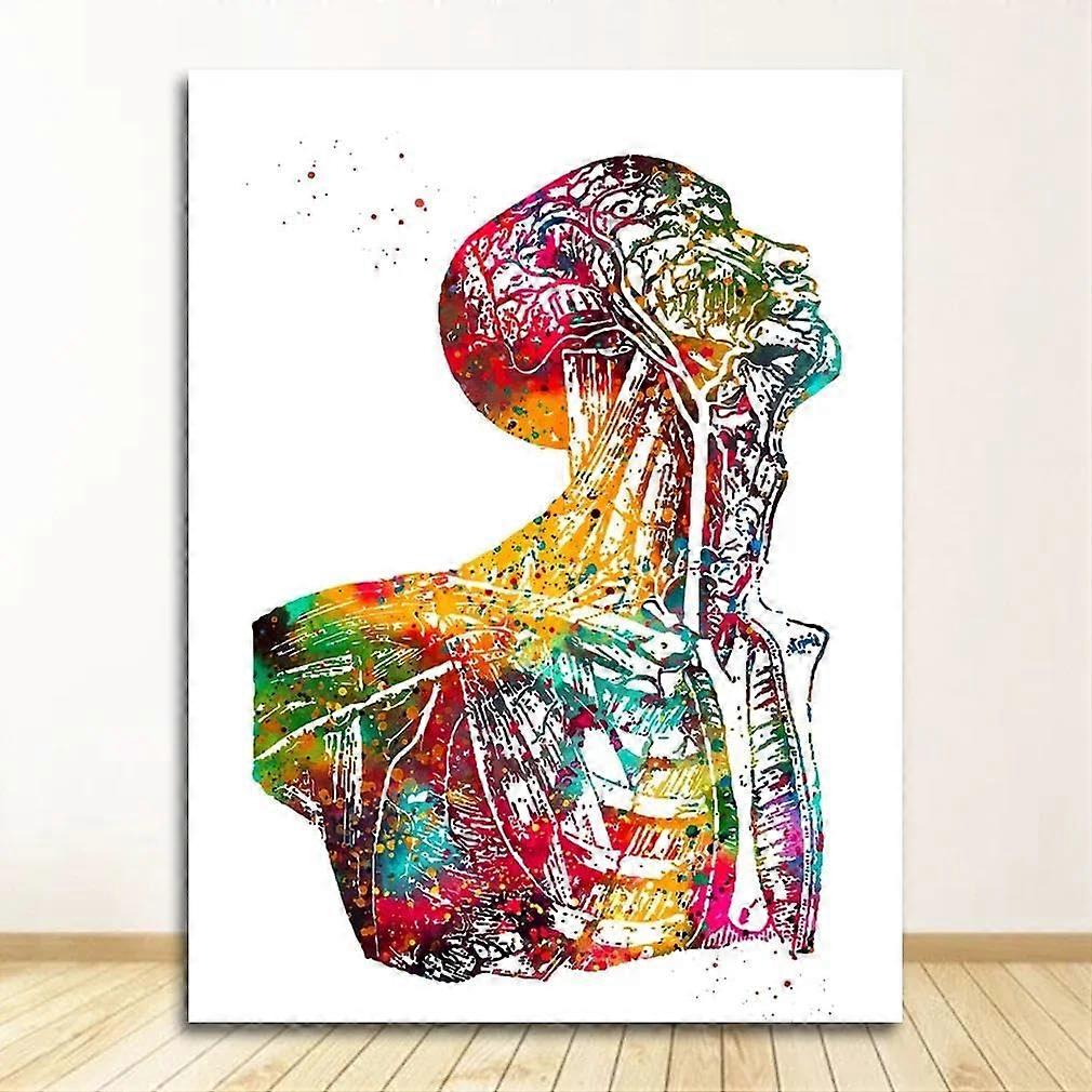 Abstract Wall Art Canvas Poster 30x40cm No Frame Anatomy Muscular System Medical Office Decor