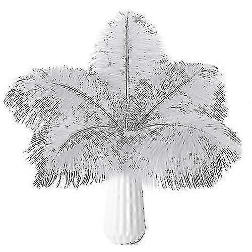 20pcs Natural Bulk Ostrich Feathers