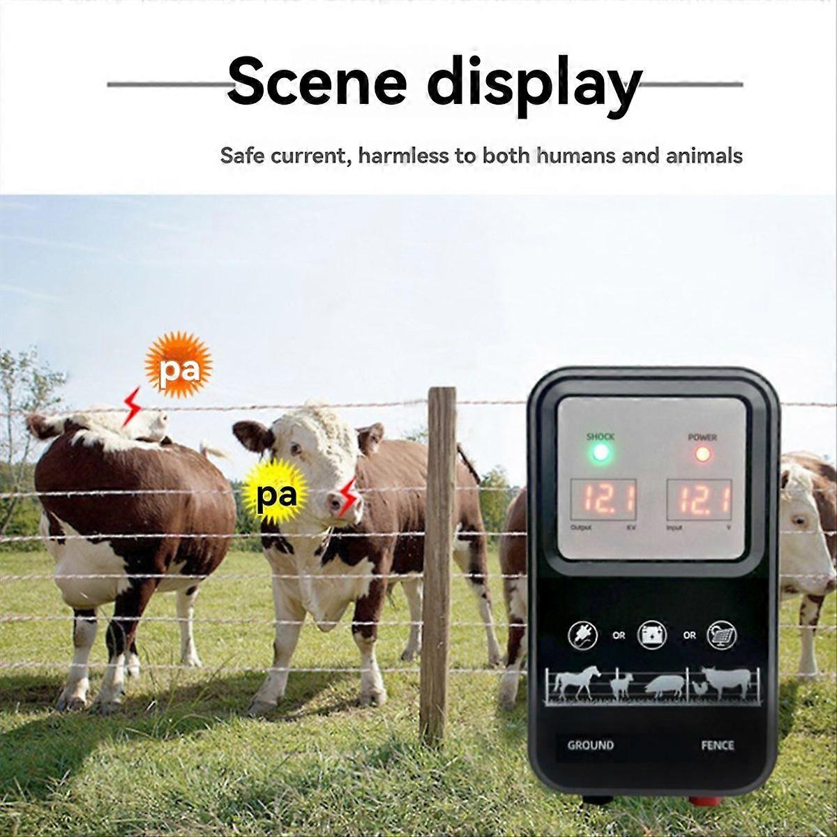 Clôture électrique de 10 km