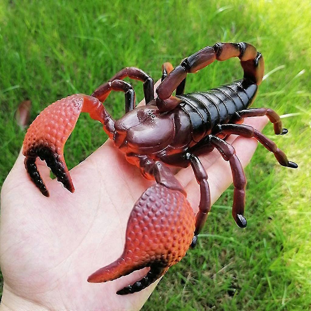 Έντομα Προσομοίωση Μοντέλο Παιχνίδια Προσομοίωση Άγριας Ζωής Μοντέλα Στολίδια Ανατριχιαστική Ζωή Σαν Ψεύτικες Αράχνες Κρίκετ Πασχαλίτσα Ακρίδα Ant Dragonfly Ρεαλιστική Inse