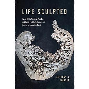 Life Sculpted: Geschichten von Tieren, Pflanzen und Pilzen, die bohren, brechen und kratzen, um die Erde zu formen