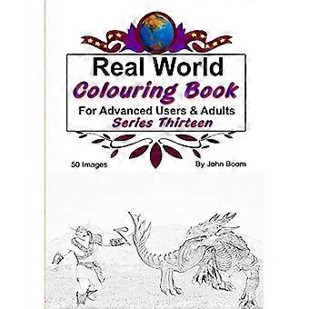 Real World Colouring Books Series 13
