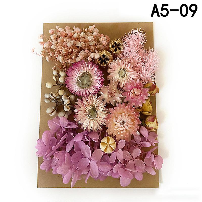 Pressed Flower Handmade Mixed Dried Flowers Material