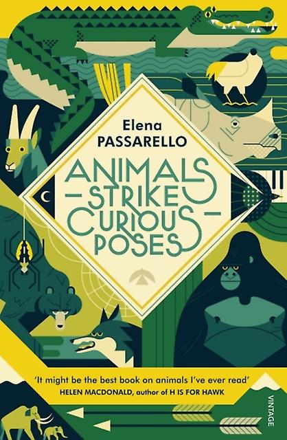Animals Strike Curious Poses by Elena Passarello Paperback