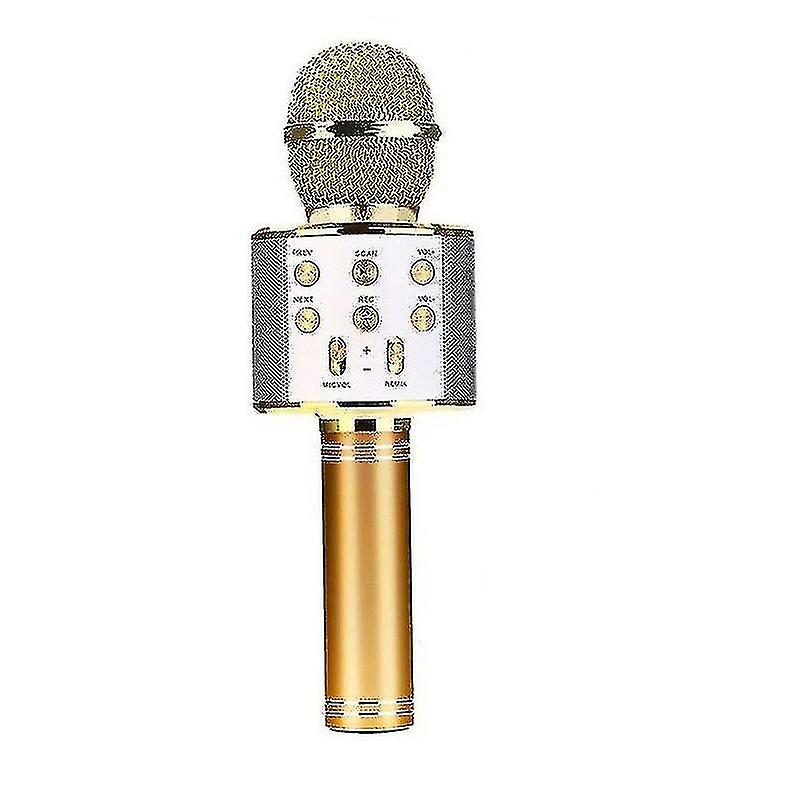 Wireless Karaoke Microphone For Kids