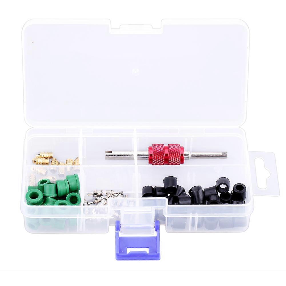 71pcs Assorted Auto A/C Air Conditioning Valve Core Tool Remover Installer Repair Tool Box Set E2U473