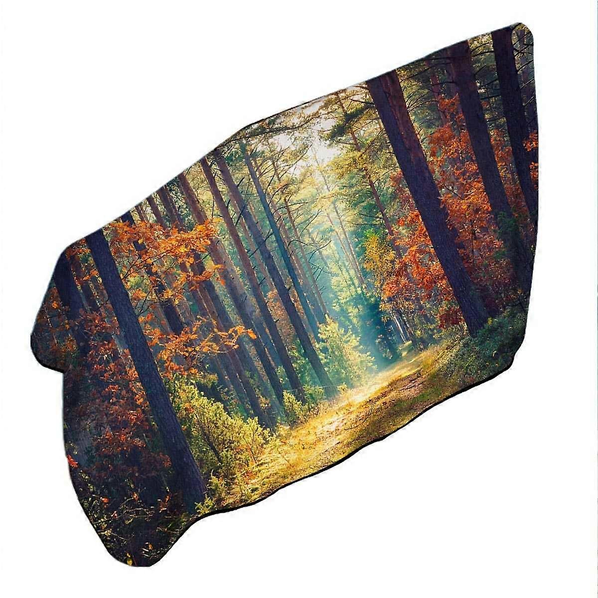 Early Autumn Forest Microfiber Beach Towel