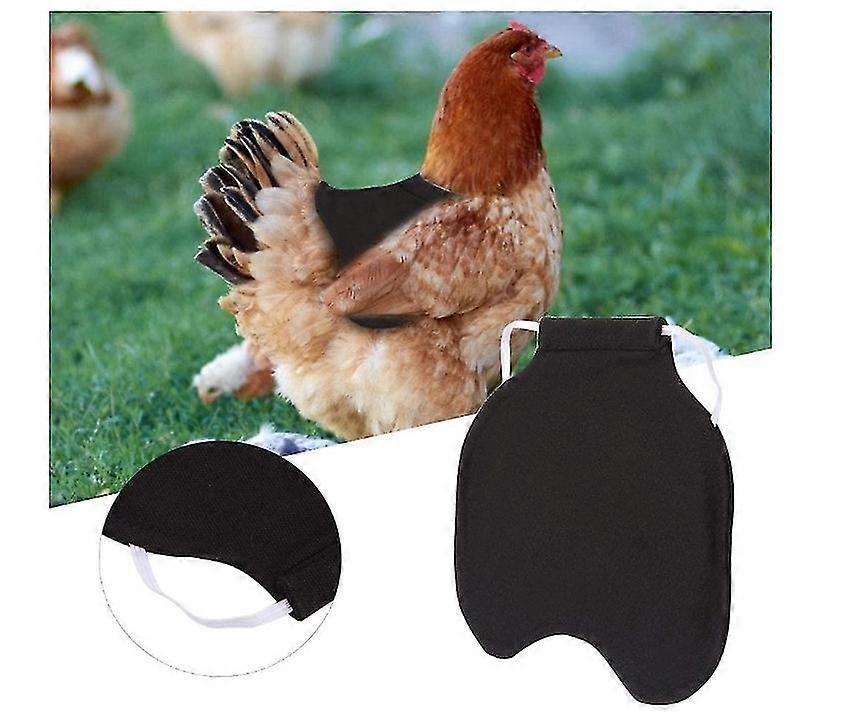 Harnais Selle Pour Poules 3 Pièces - Tablier De Protection Réglable Pour Poulets, Canards | Imperméable, Anti-picage, Avec Bretelles Auto-adhésives