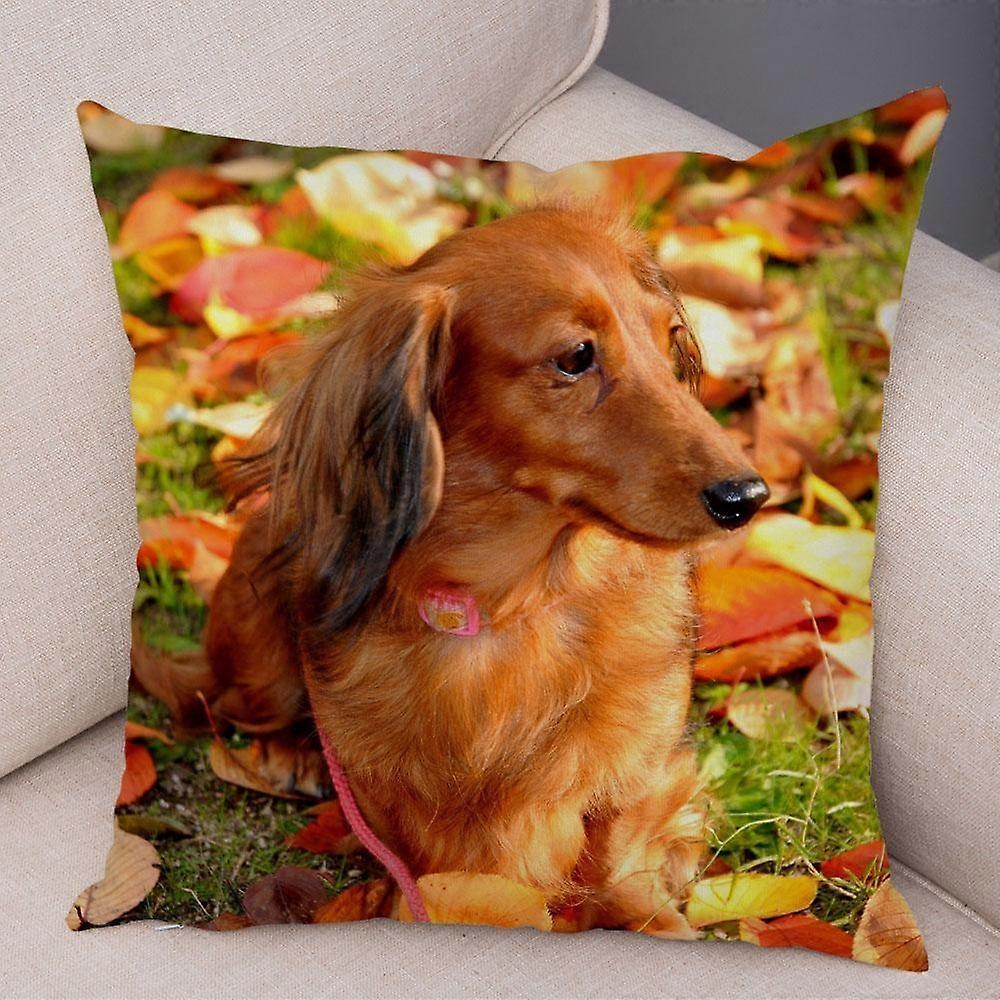 Print Pillowcase Sofa Cushion Cover Design Style -498