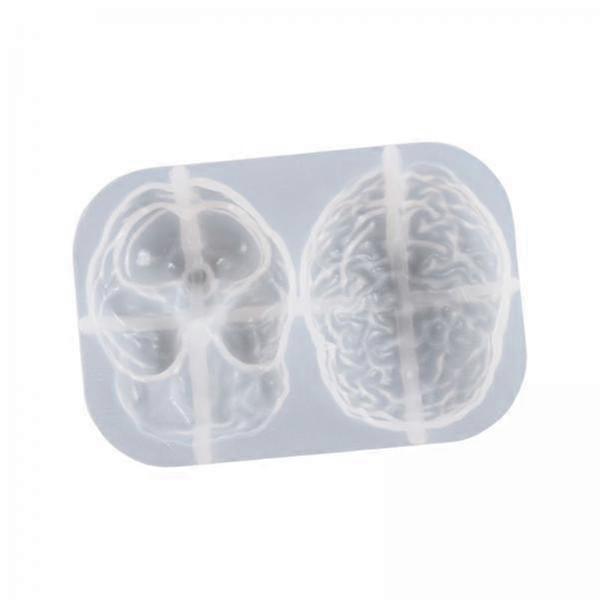 5xResin Organs Fondant Model Decor Handmade Casting Tools for Paste Soap