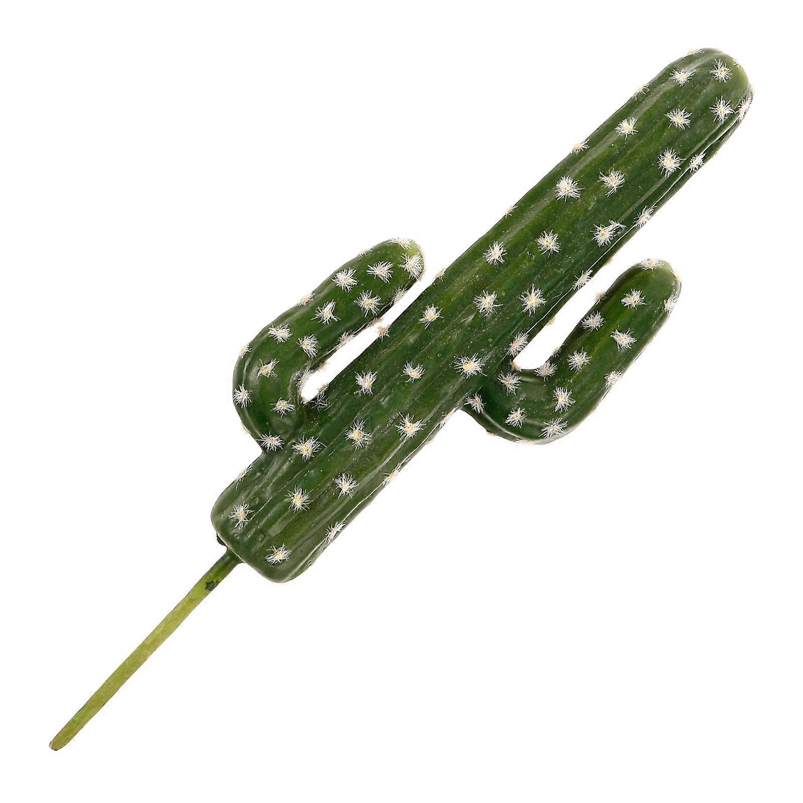 Decorative Succulent for Event Planning, Appropriate for Themed Exhibitions