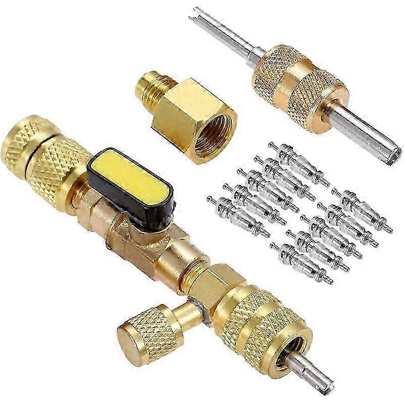 Valve Core Remover Installer Tool with Dual Size Port System, Valve Cores and Double Head Valve Core Remover(1set ,gold)