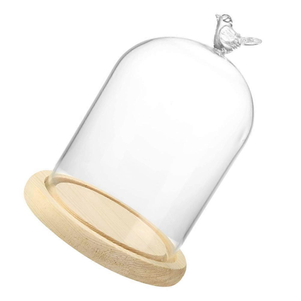 Glass Display Dome for Flower Protection 5Pcs Clear Glass Dome with Bird Handle