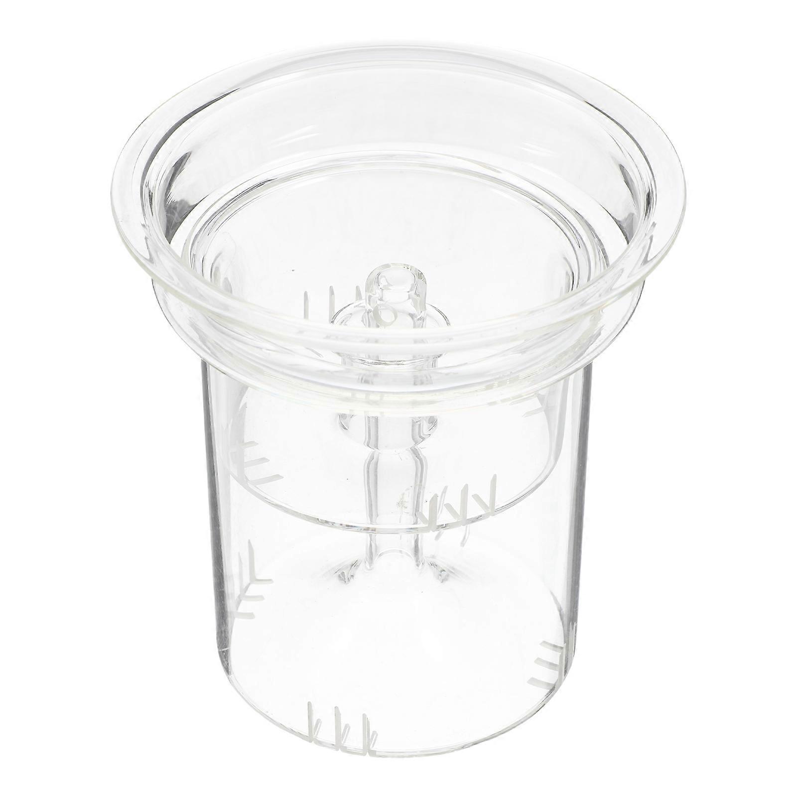 Tea Infuser Insert Glass for Brewing 2Pcs Loose Leaf Tea Strainer