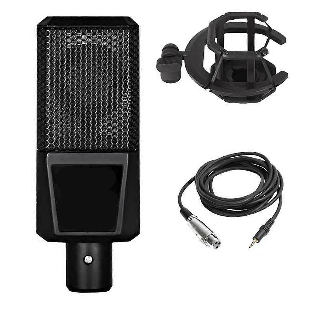 D241 Professional Studio Condenser Microphone Bundle with Mic Holder for Record Broadcast