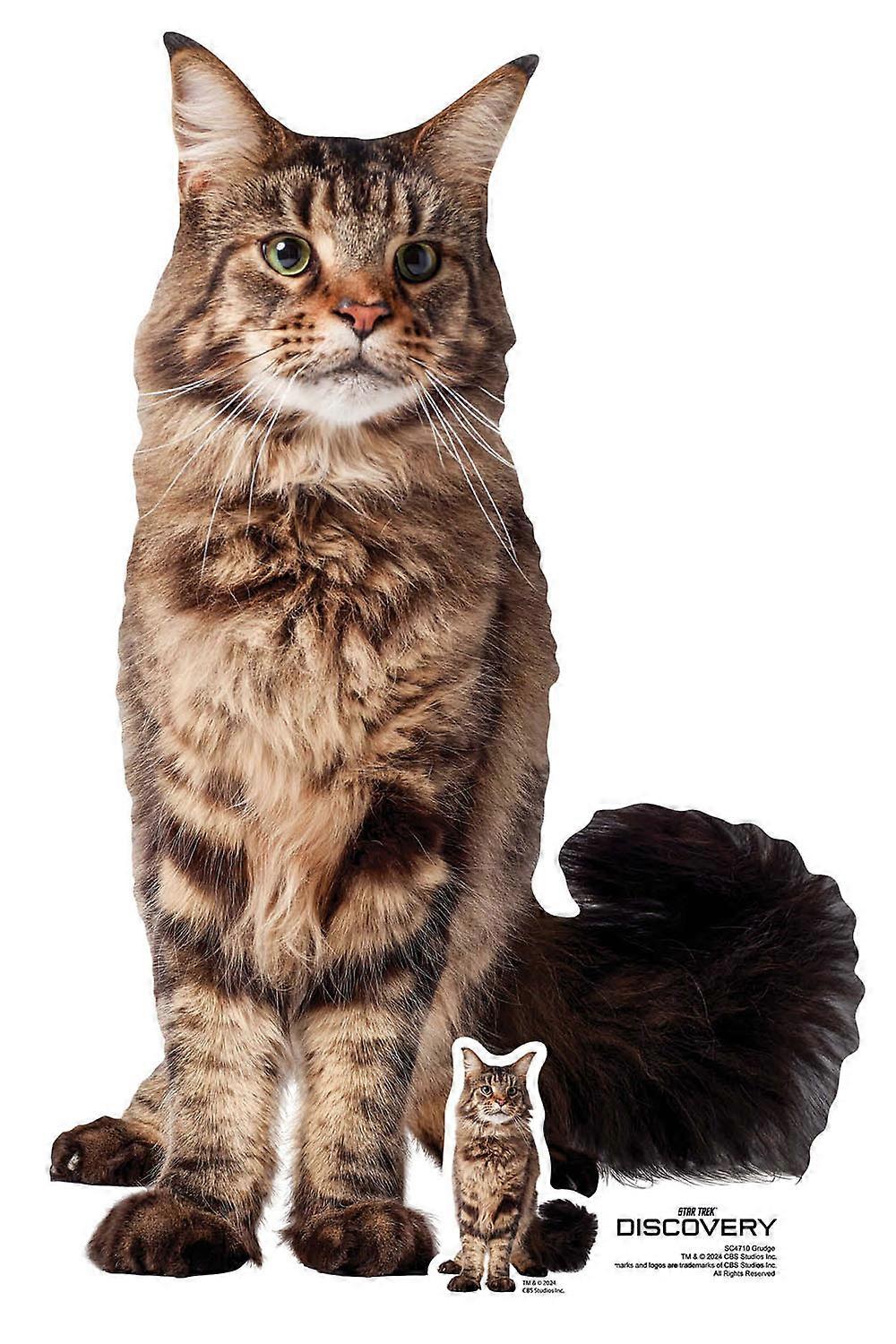 Grudge from Star Trek Cardboard Cutout Official Standee / Standup