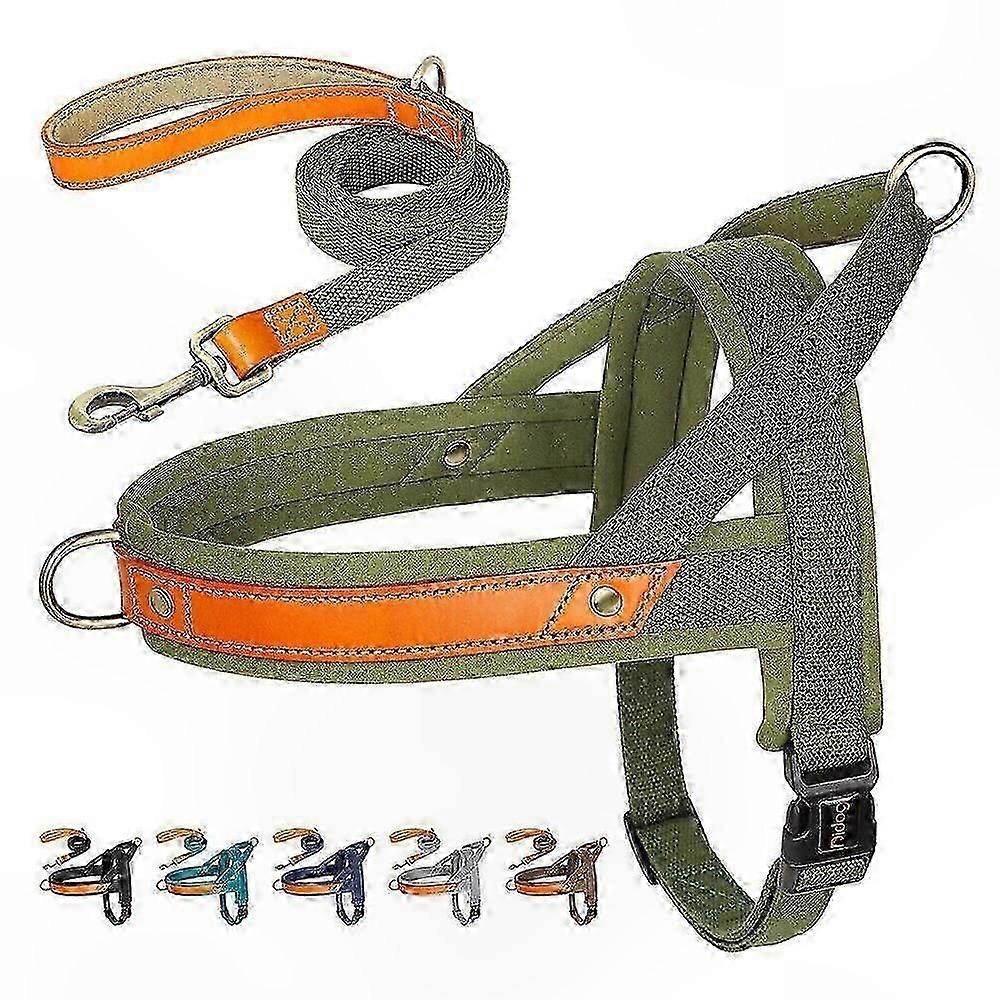 Adjustable Dog Harness with Soft Padding and Control Handle, Nylon No-Pull Lead Set