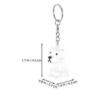 4Pcs Dog Hair Keepsake Container Transparent Pet Hair Memorial Box