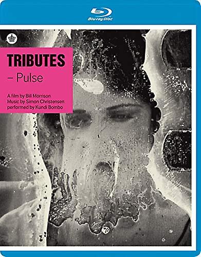 Tributes - Pulse [DVD]