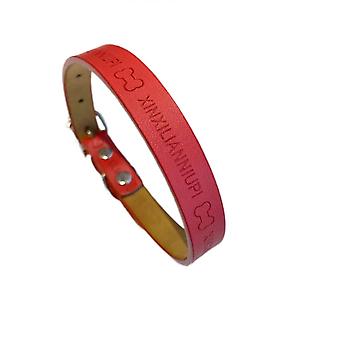 Artificial PU Metal Buckle Head Pet Collar Neck Strap for Small Medium Size Dogs(Red)