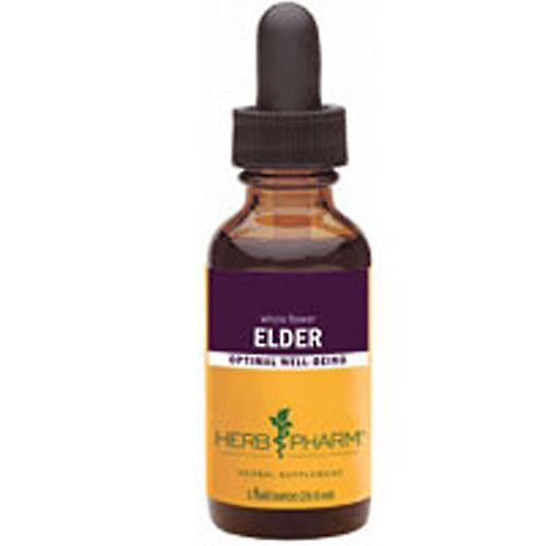 Herb Pharm Elder Extract, 1 Oz (Pak van 4)