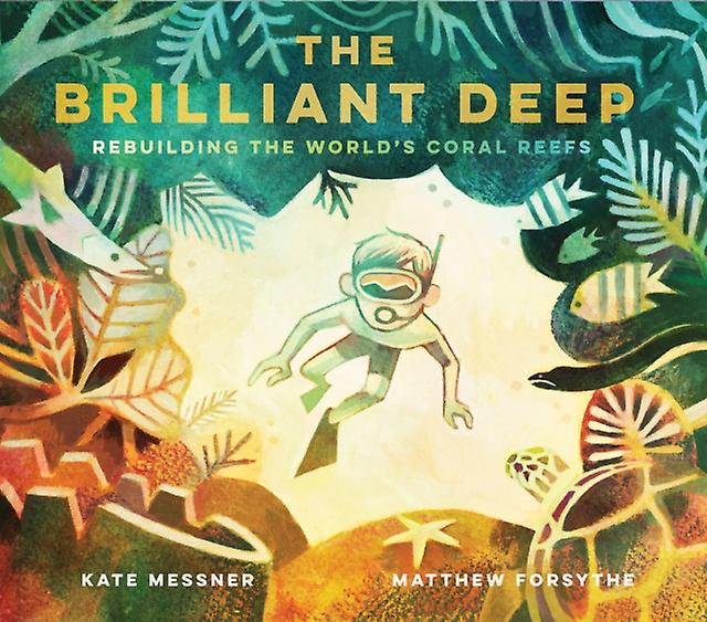 The Brilliant Deep by Kate Messner Hardback Book