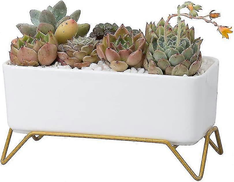 Ceramic Flowerpots With Iron Stand - For Succulents - Rectangular - For Office, Succulents