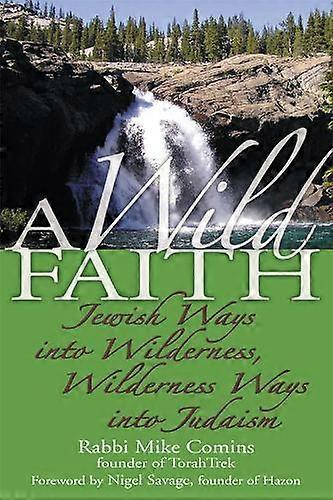 A Wild Faith by Rabbi Mike Comins Hardback Book