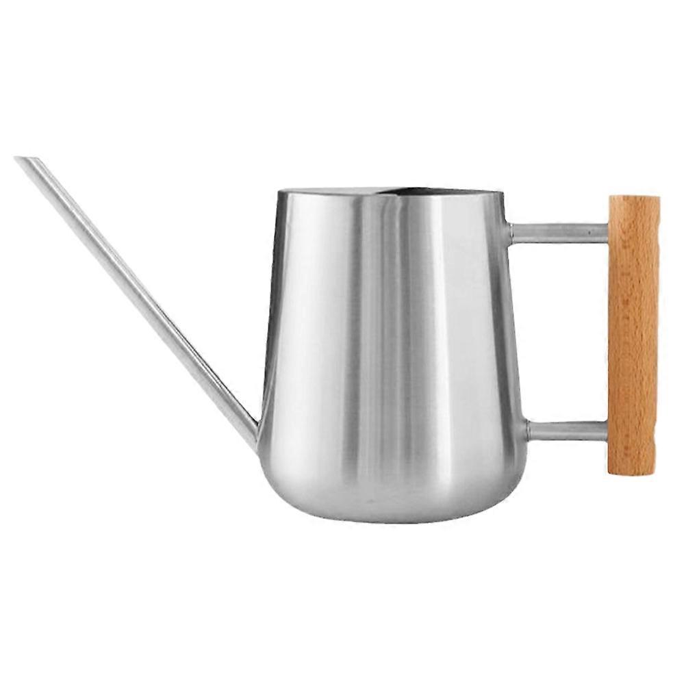 Watering Can for Indoor Plants Compact Design European Style Silver 27x9x9cm 900ML 1Pcs