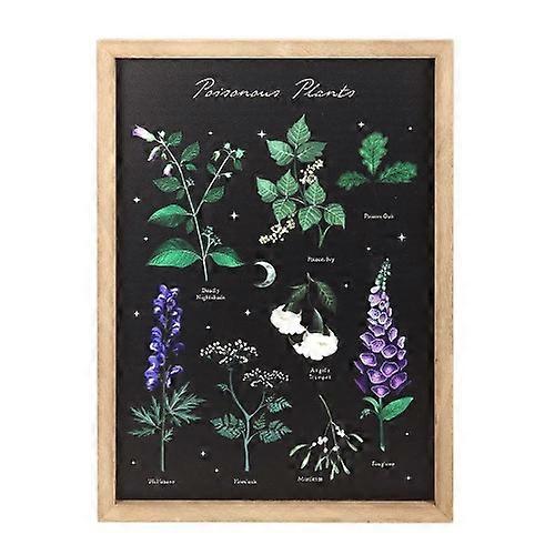 Something Different Poisonous Plants Framed Wall Art