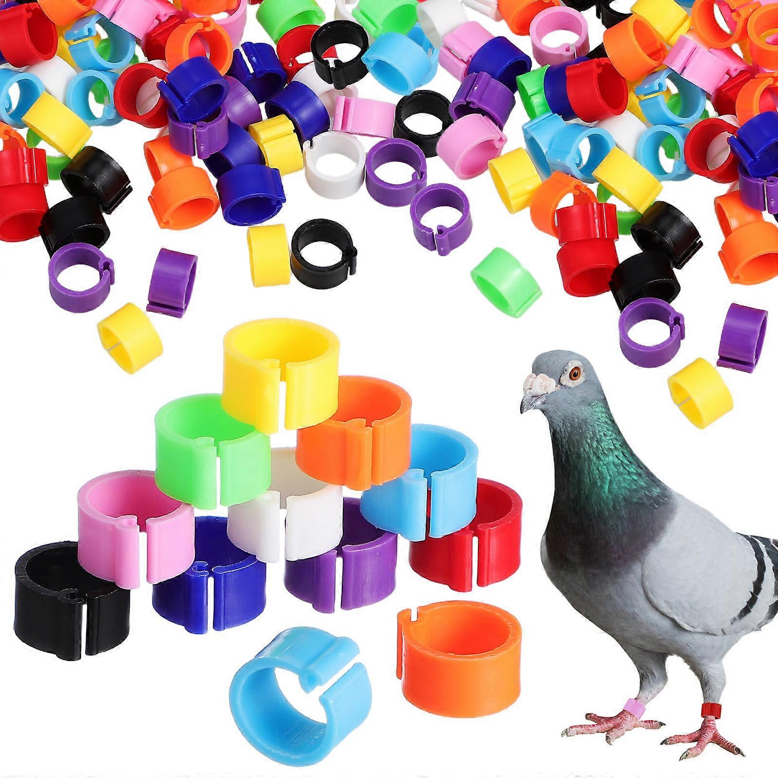 Bird Leg Bands 100Pcs Assorted Color Ideal For Cockatiels And Parakeets Breed Separation And Identification