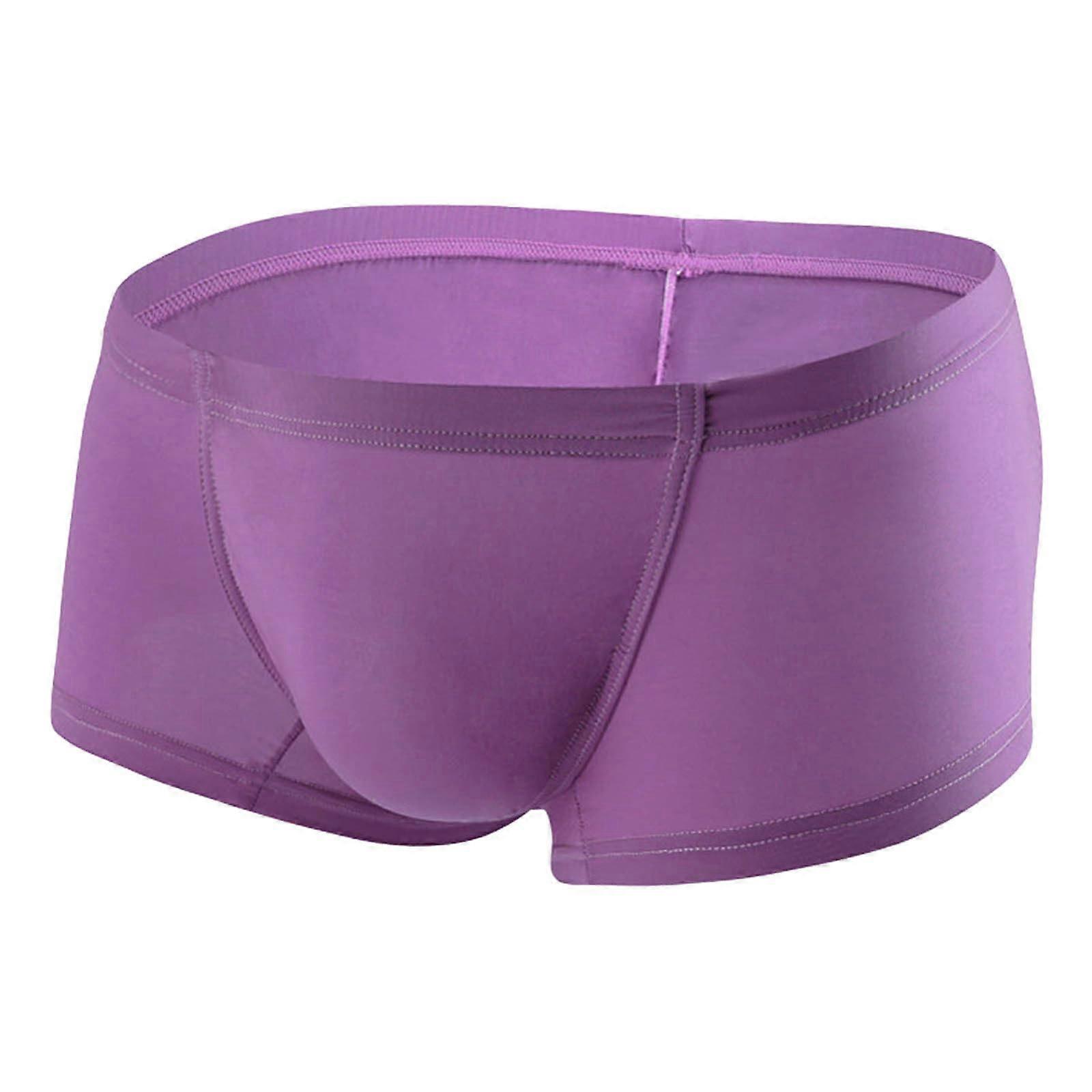 Herren Boxershorts Eisseide Unterwäsche für Männer, Stretch Boxer Briefs Regular Fit, Violett, Größe L, Retroshorts