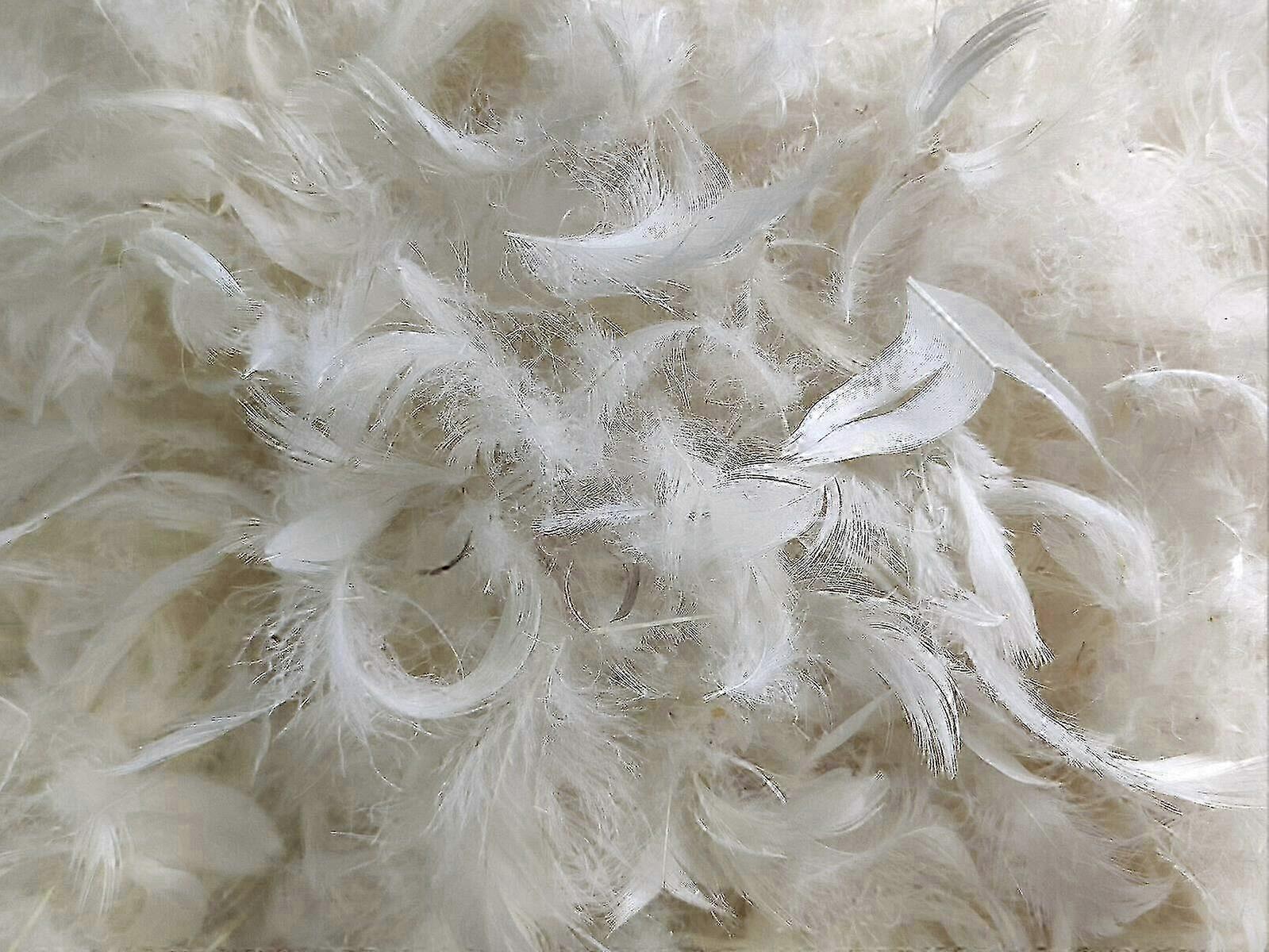 Goose Feathers Feather Down Loose Feathers Filling For Pillows Or Duvets 90% Goose Feather 10% Goose Down Pillow Filling